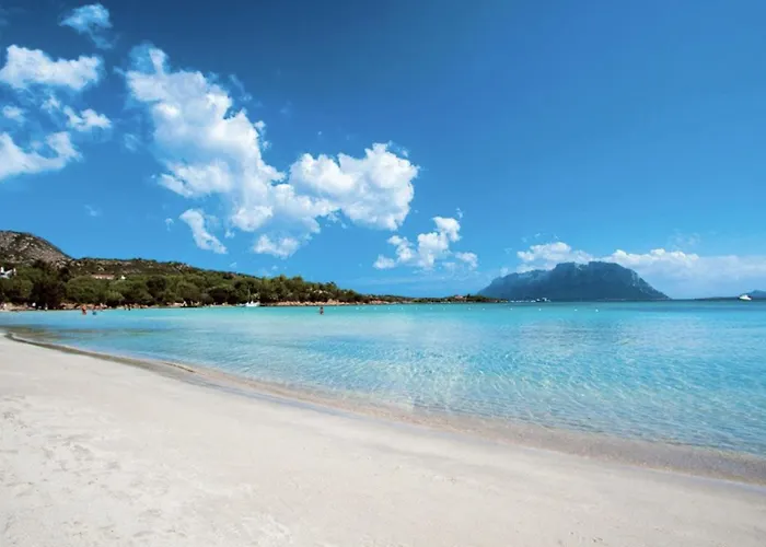 Mare Sardegna Murta Maria - אולביה